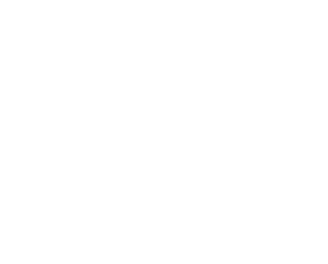 rebel biere logo